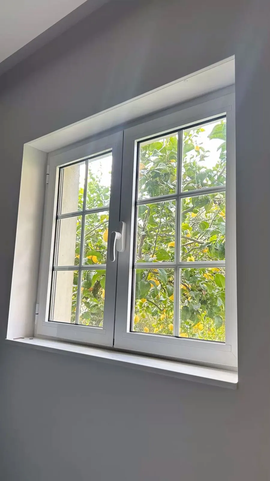 Portones Eléctricos